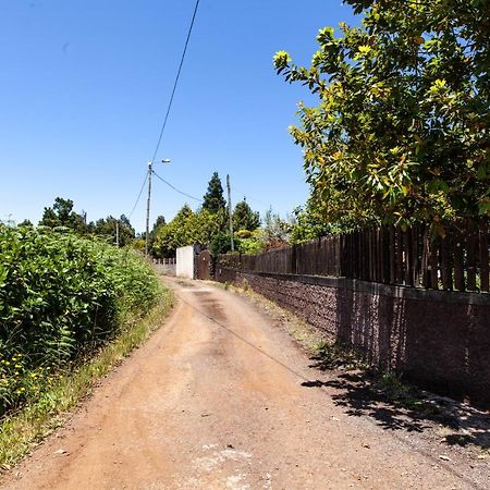 Chalet Pico Das Pedras Santana  Bagian luar foto