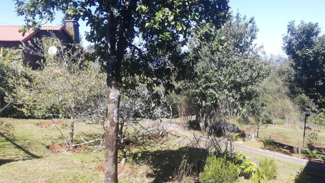 Chalet Pico Das Pedras Santana  Bagian luar foto