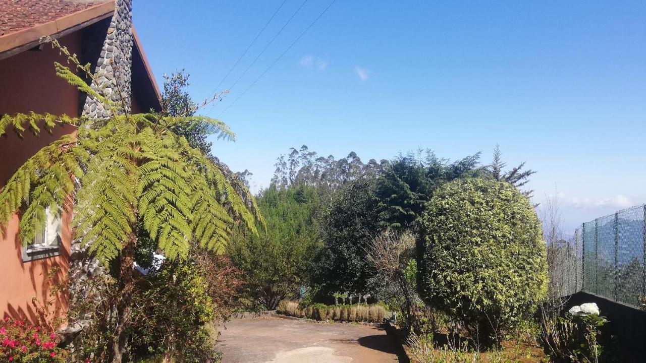 Chalet Pico Das Pedras Santana  Bagian luar foto