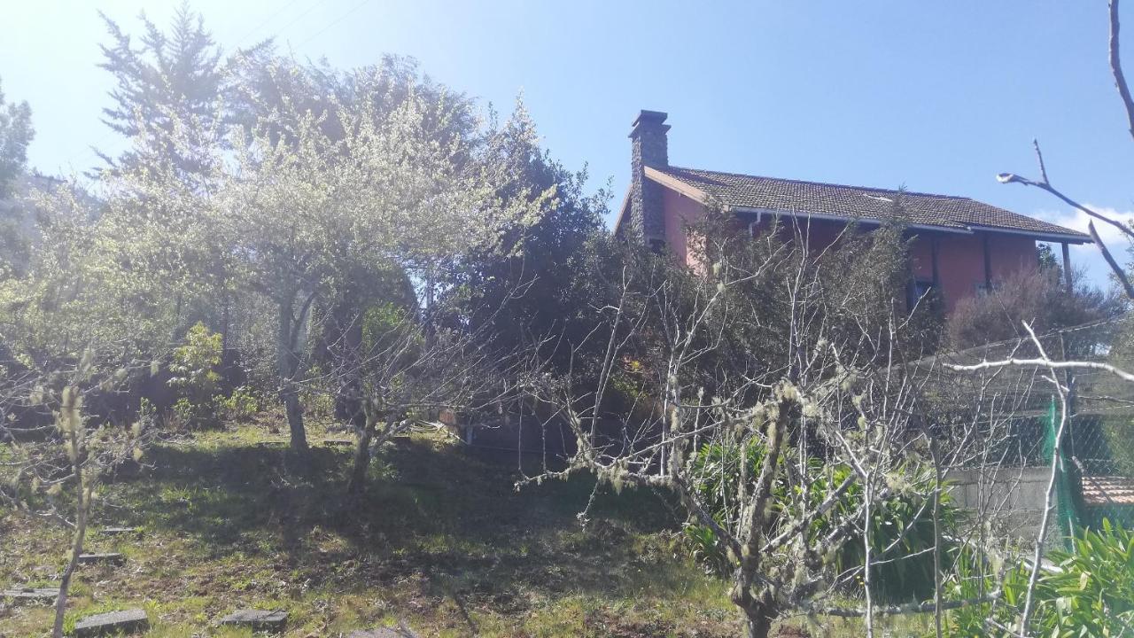 Chalet Pico Das Pedras Santana  Bagian luar foto