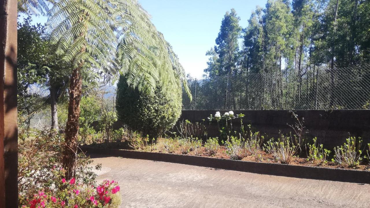 Chalet Pico Das Pedras Santana  Bagian luar foto