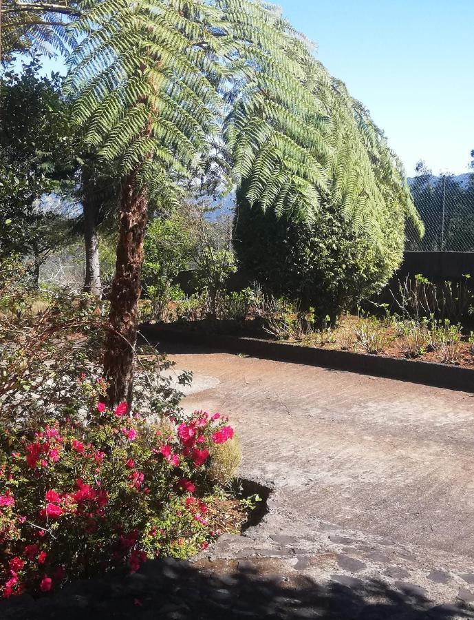 Chalet Pico Das Pedras Santana  Bagian luar foto