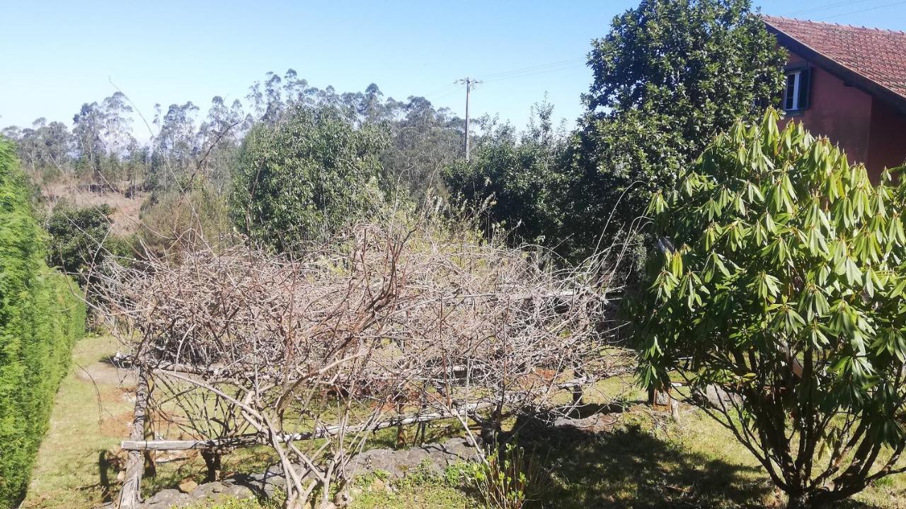 Chalet Pico Das Pedras Santana  Bagian luar foto