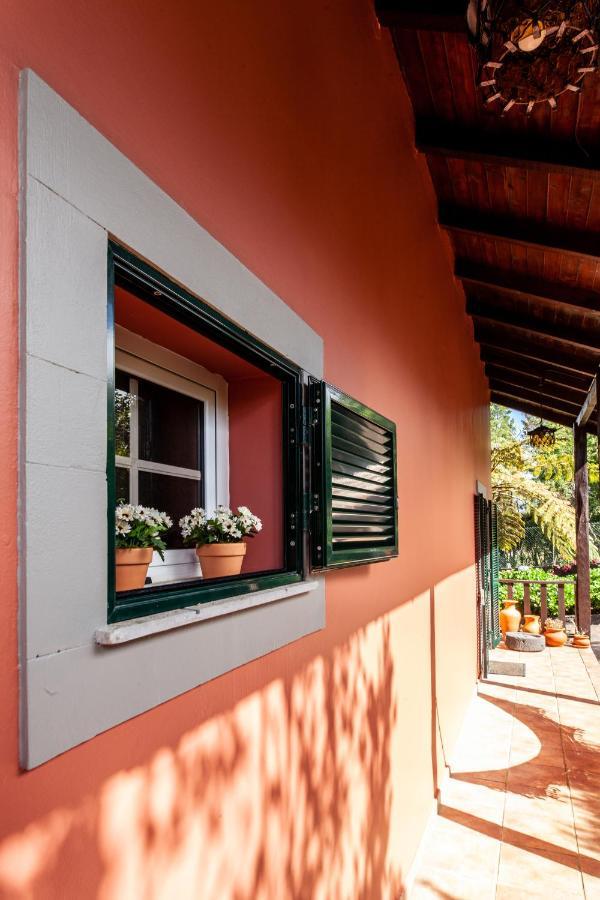 Chalet Pico Das Pedras Santana  Bagian luar foto