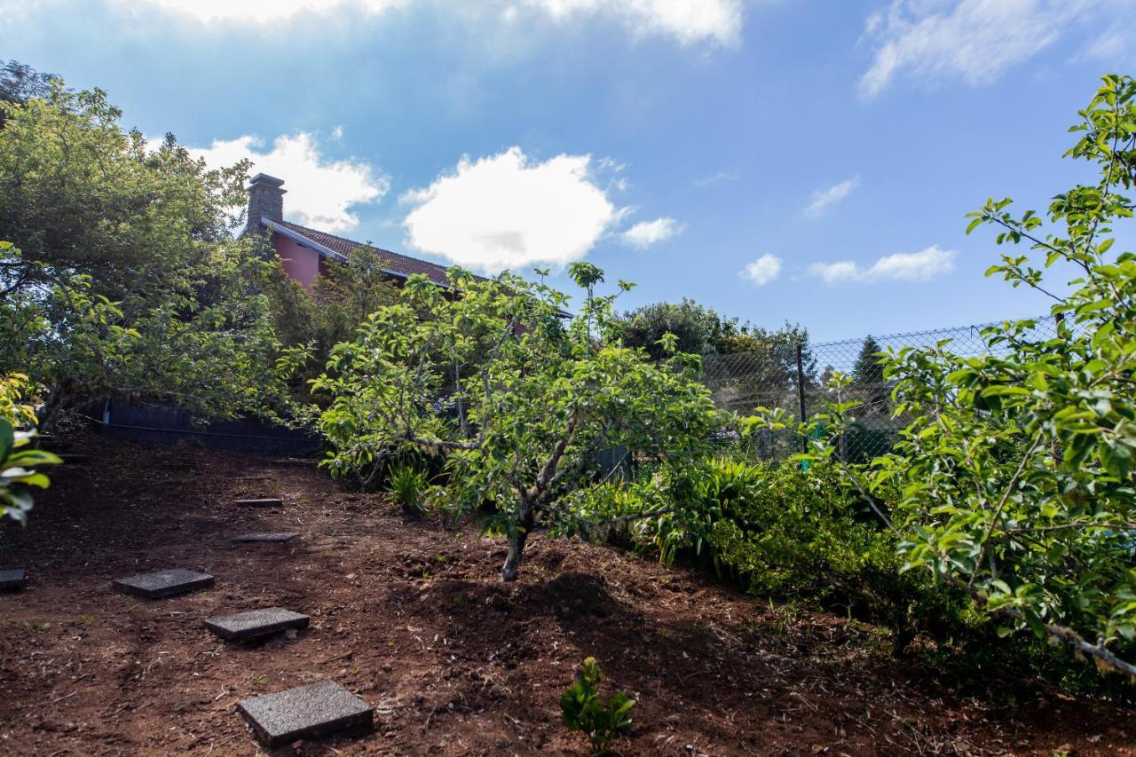 Chalet Pico Das Pedras Santana  Bagian luar foto